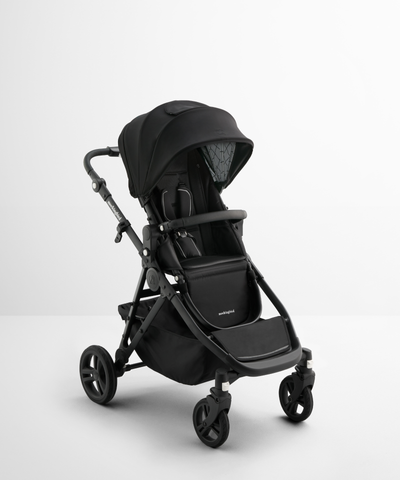 #color_black-windowpane