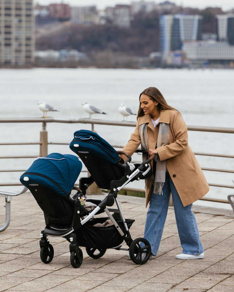 A woman in a coat and jeans pushes a stroller by a riverside railing, with seagulls perched nearby and city buildings in the background.