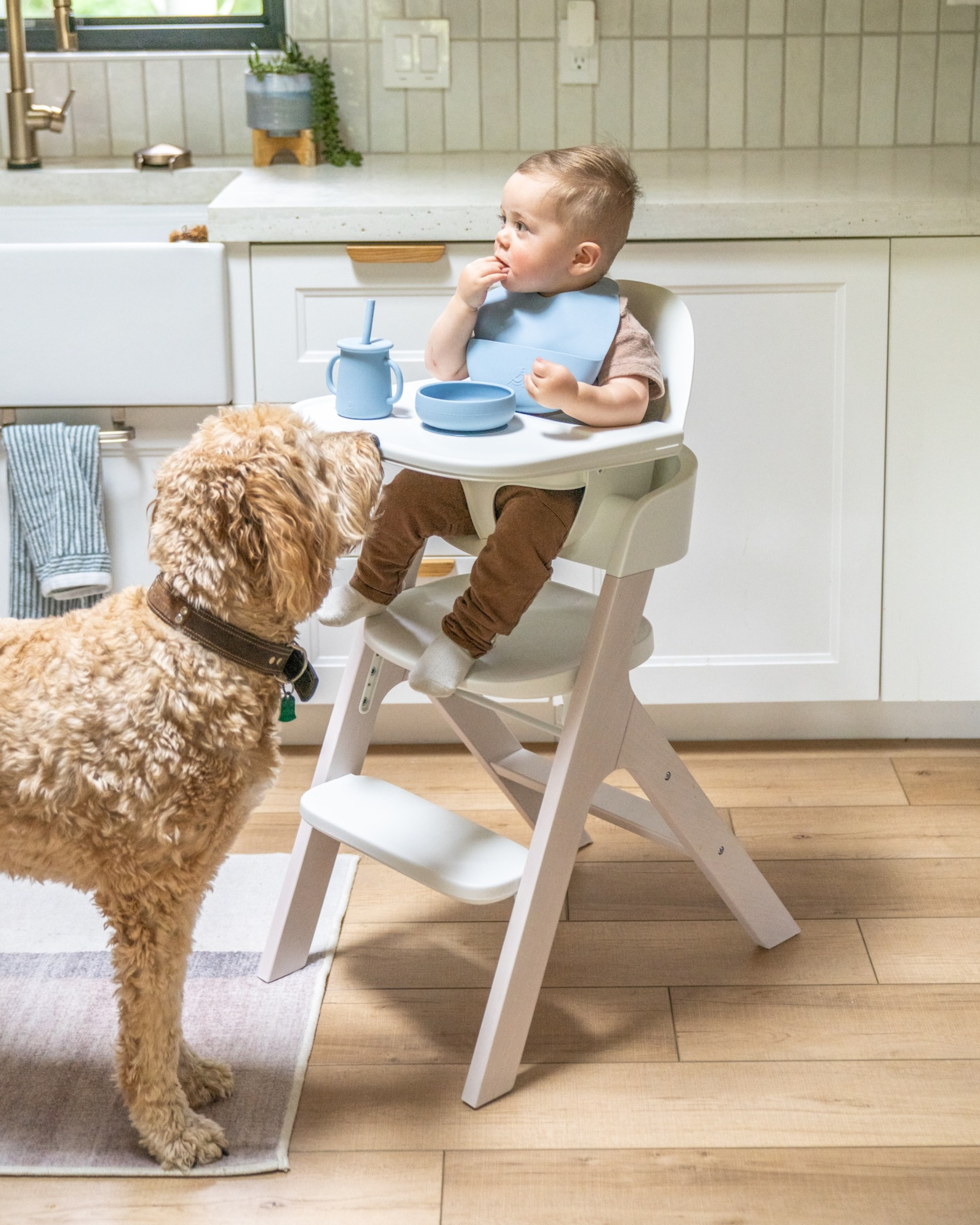 Starting Solids Bundle