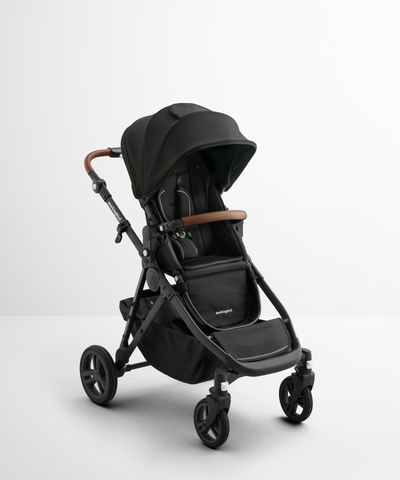 double special needs stroller Single-to-Double Stroller 3.0