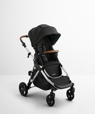 #color_black-windowpane